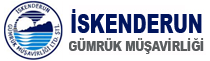İskenderun Gümrük Müşavirliği
